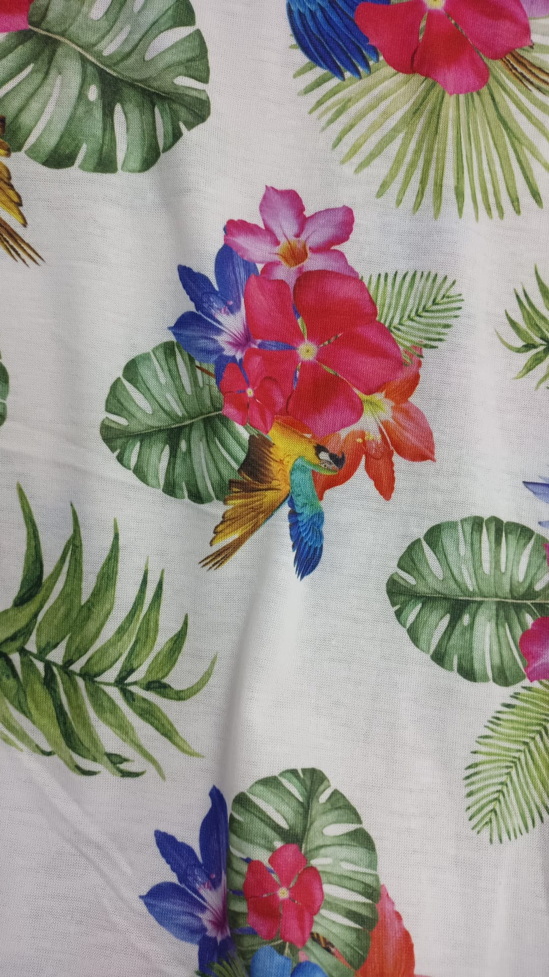 Parrots Paradise Jersey