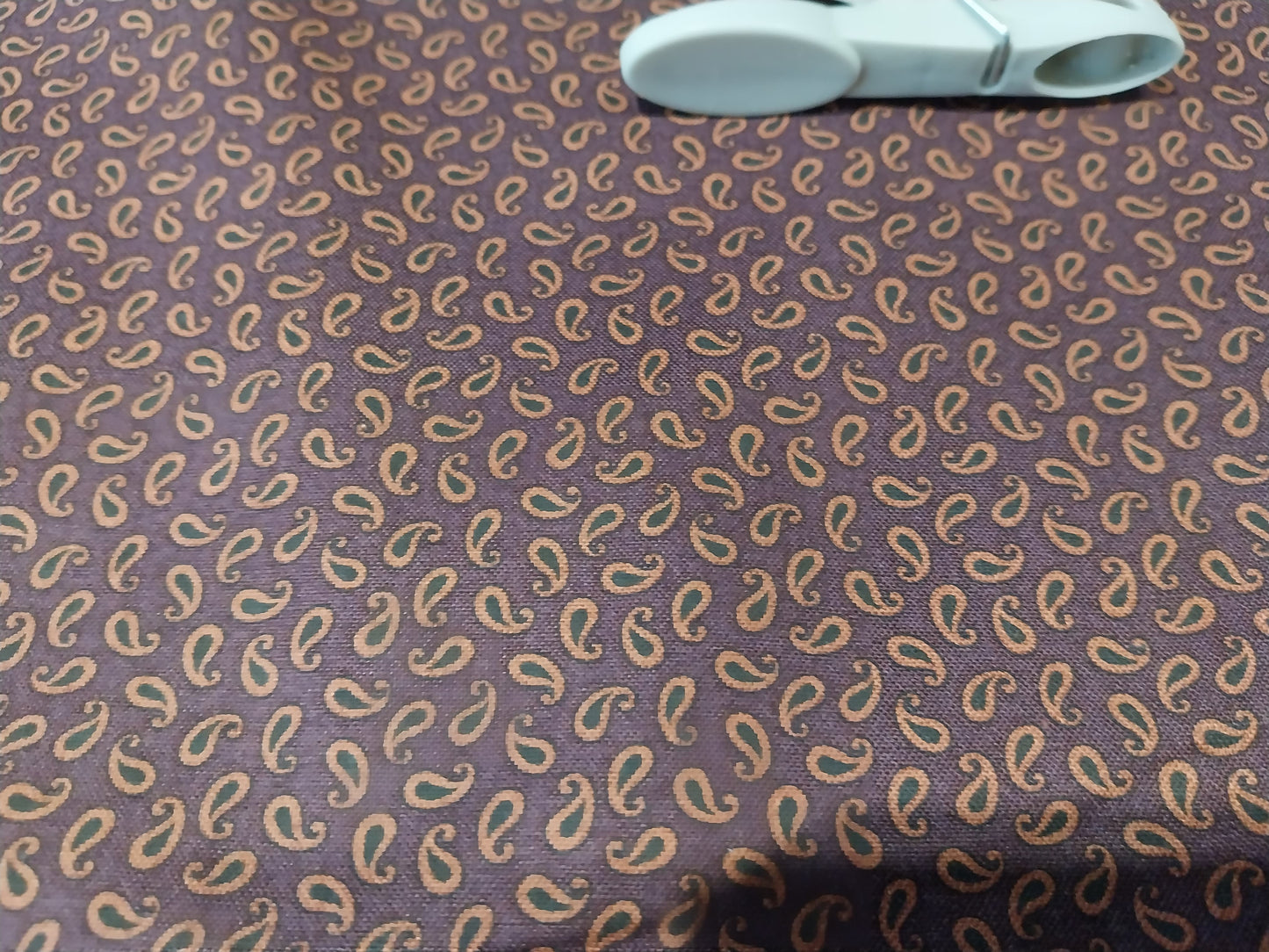 Small Paisley Print Cotton