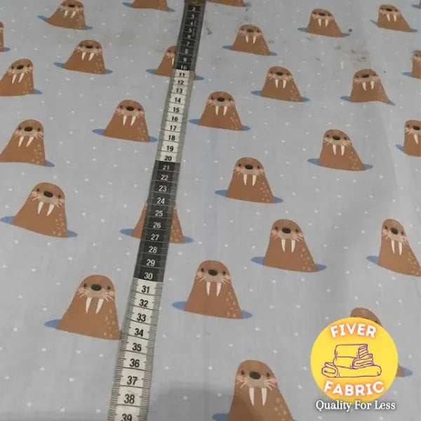Walrus on grey