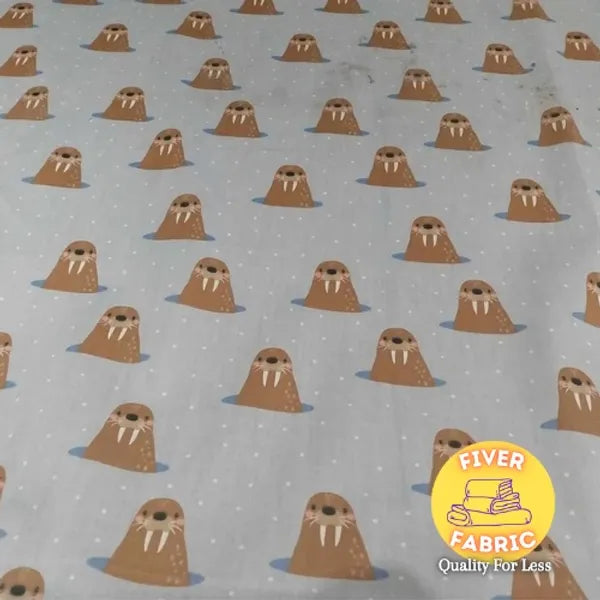 Walrus on grey