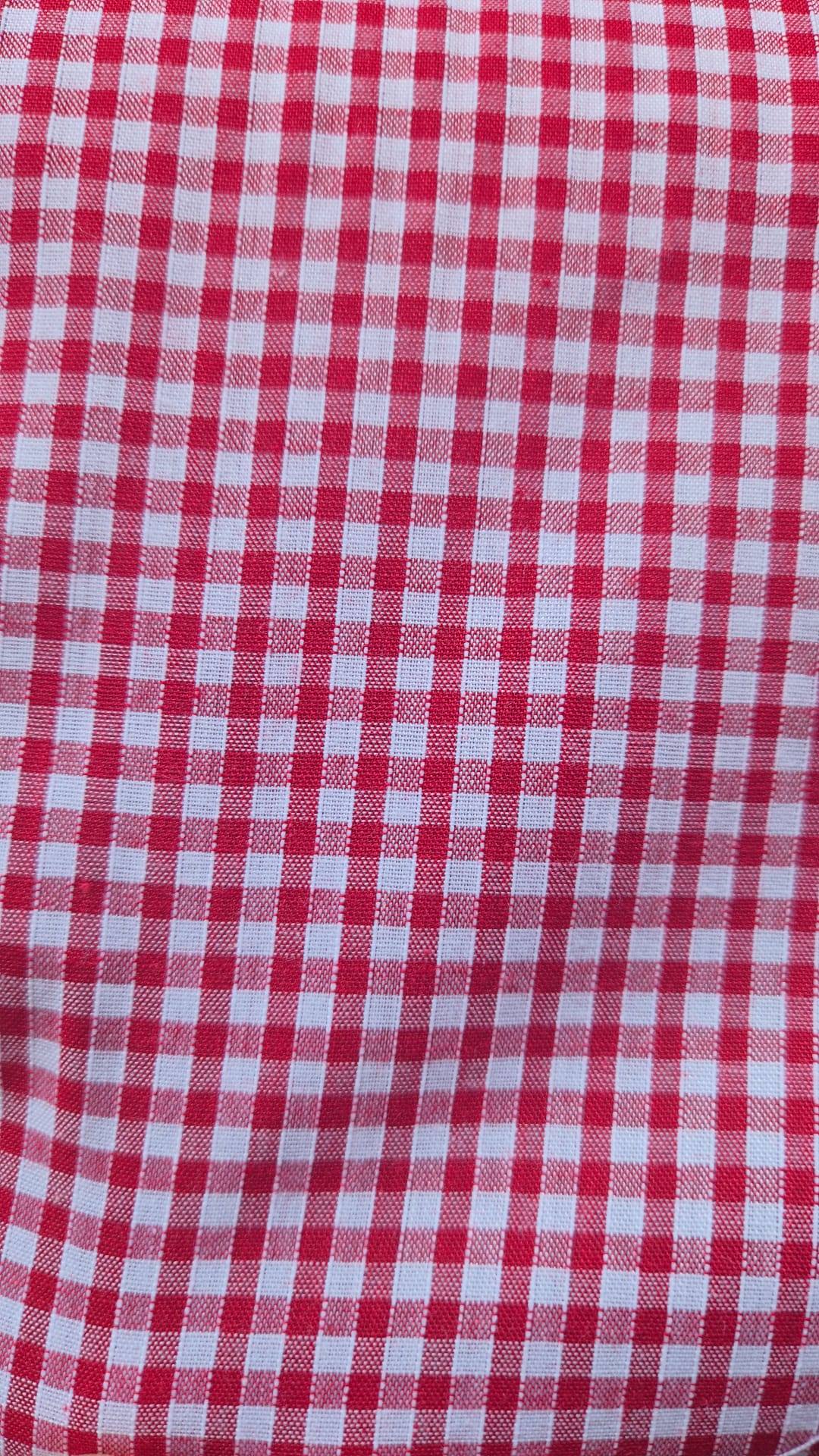Gingham red
