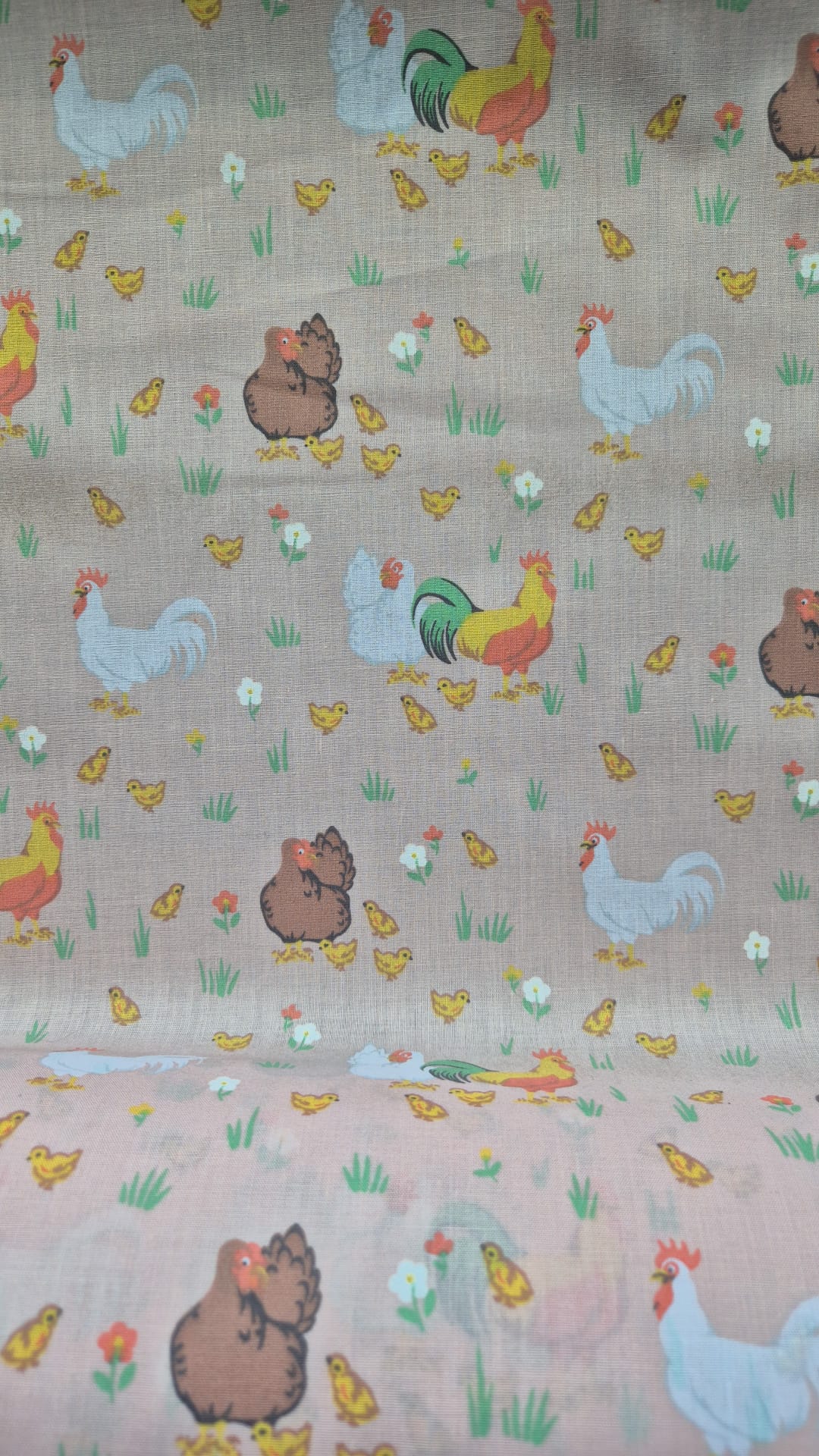 Chickens