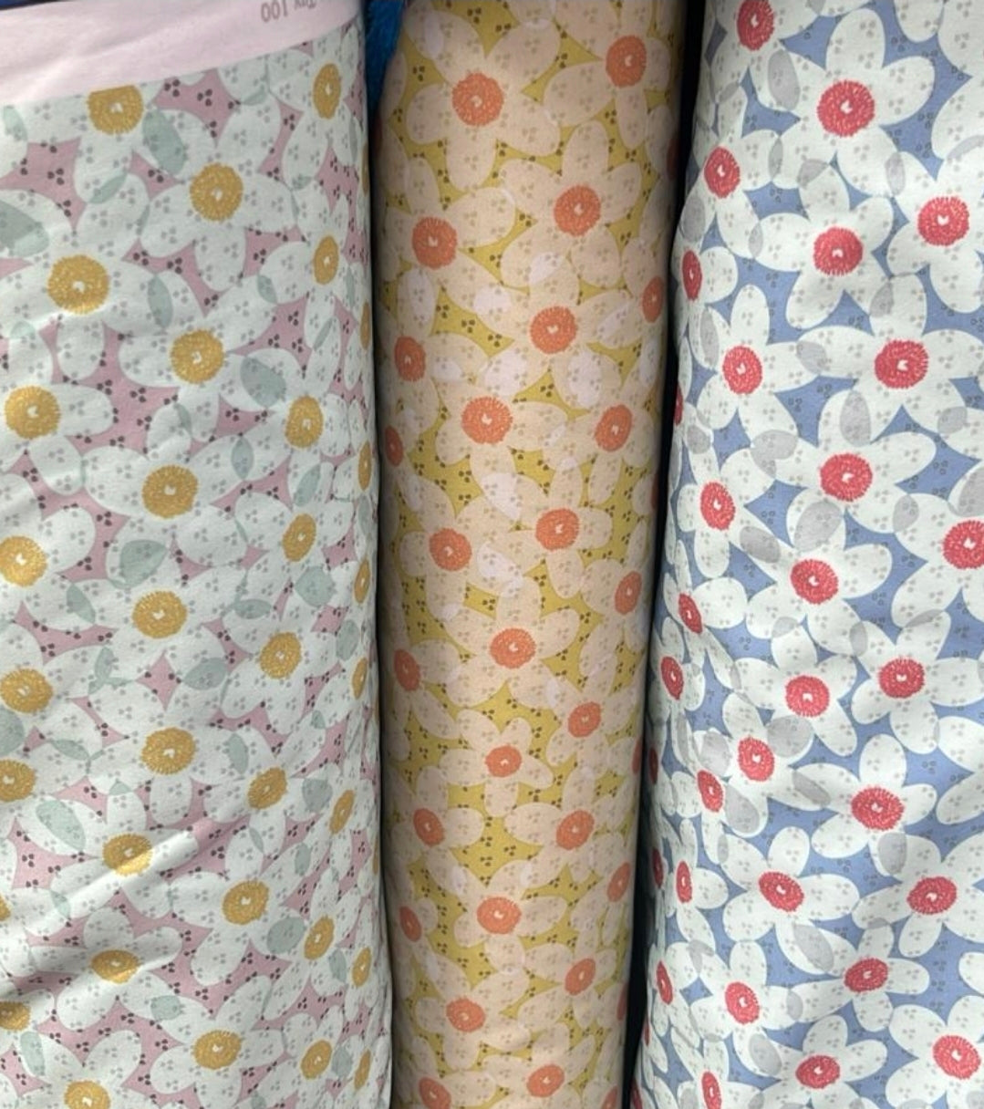 Daisy soft shell