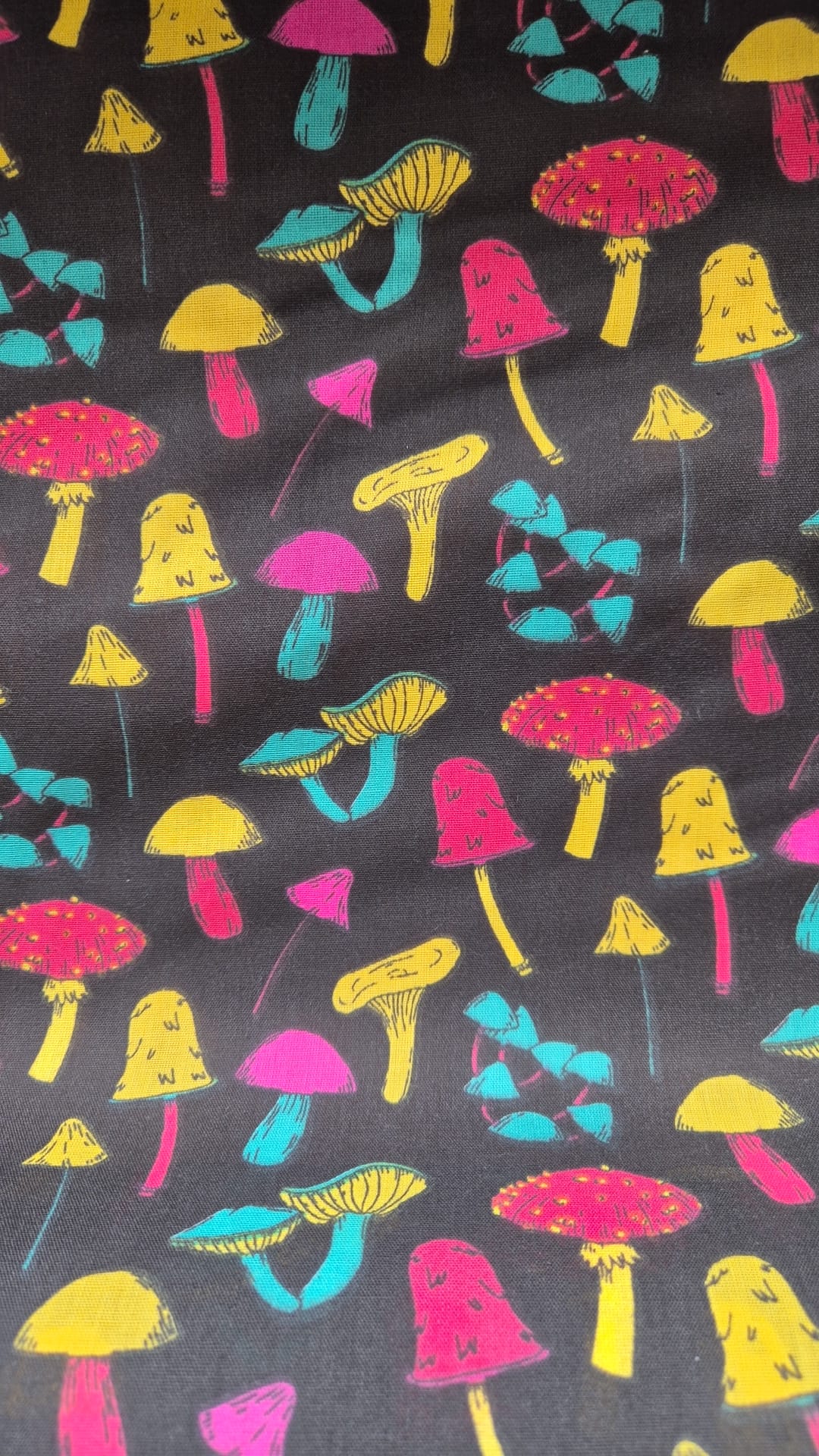 Magic Mushrooms on Black