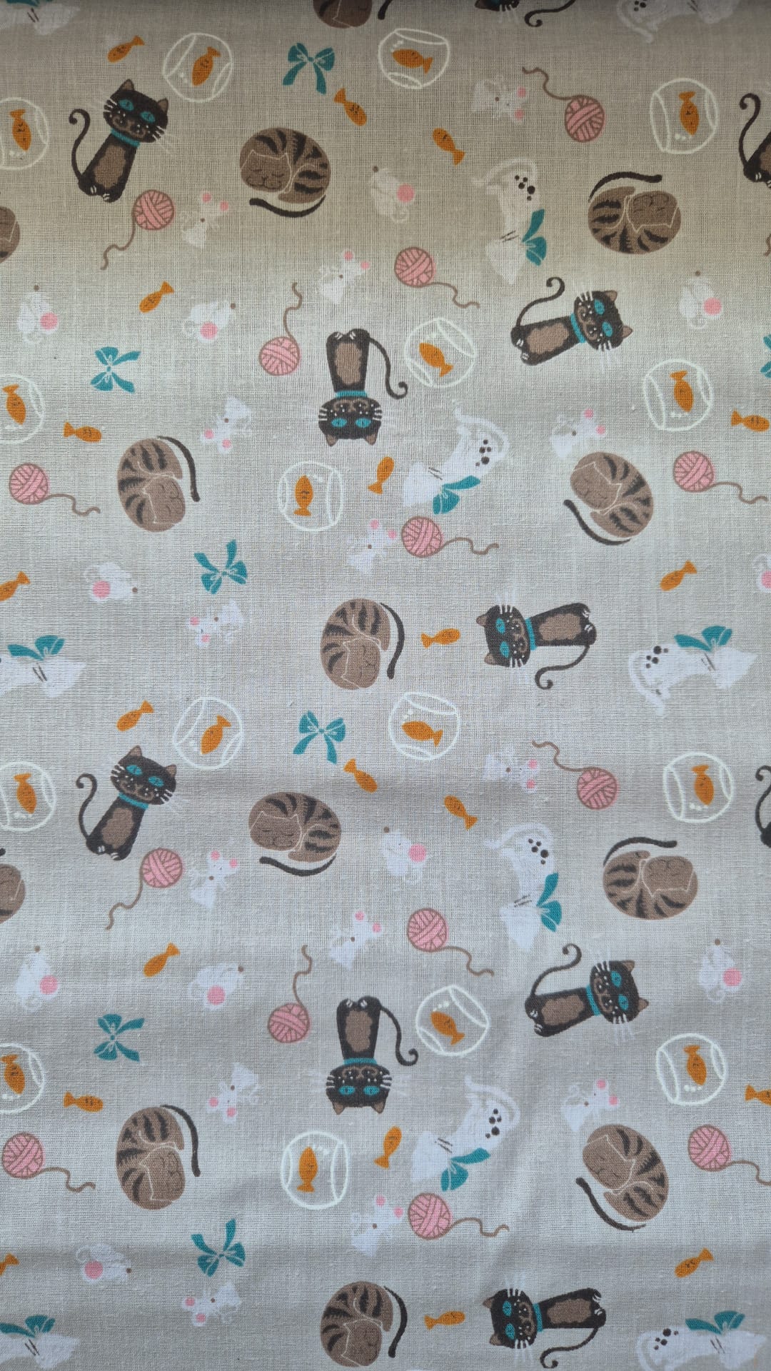 Kitty cats Light background
