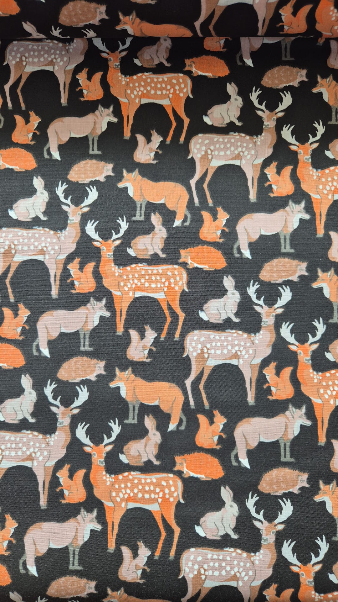 Wild Animals