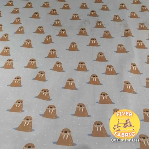 Walrus on grey