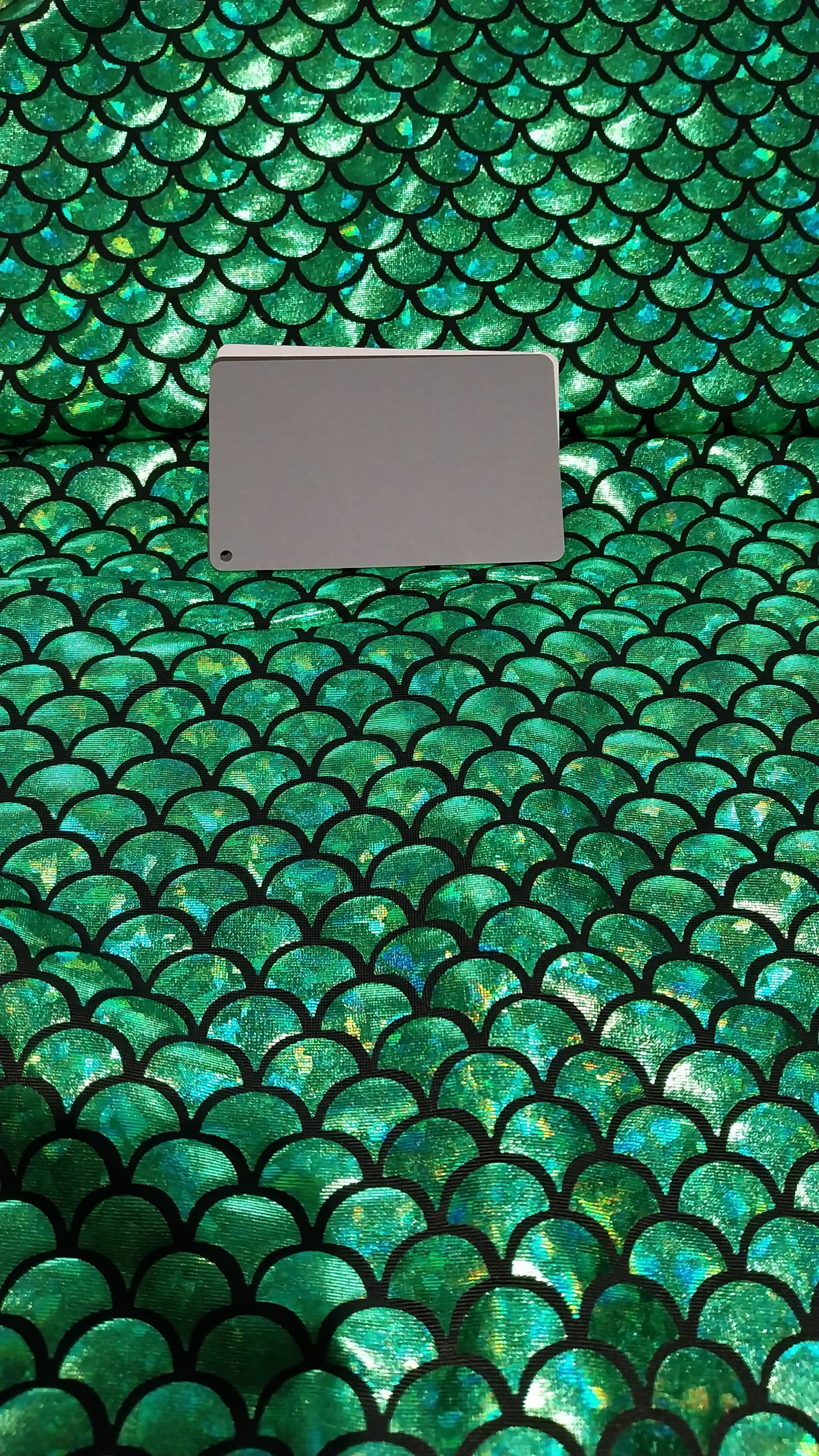 Mermaid lycra