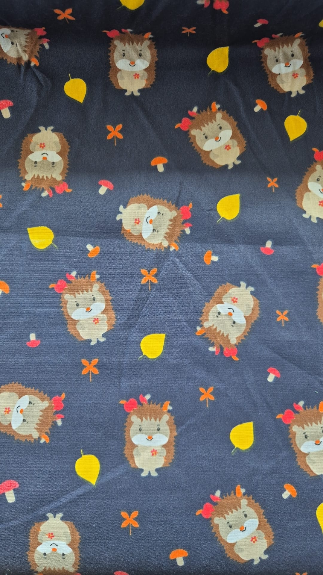 Hedgehogs on Navy