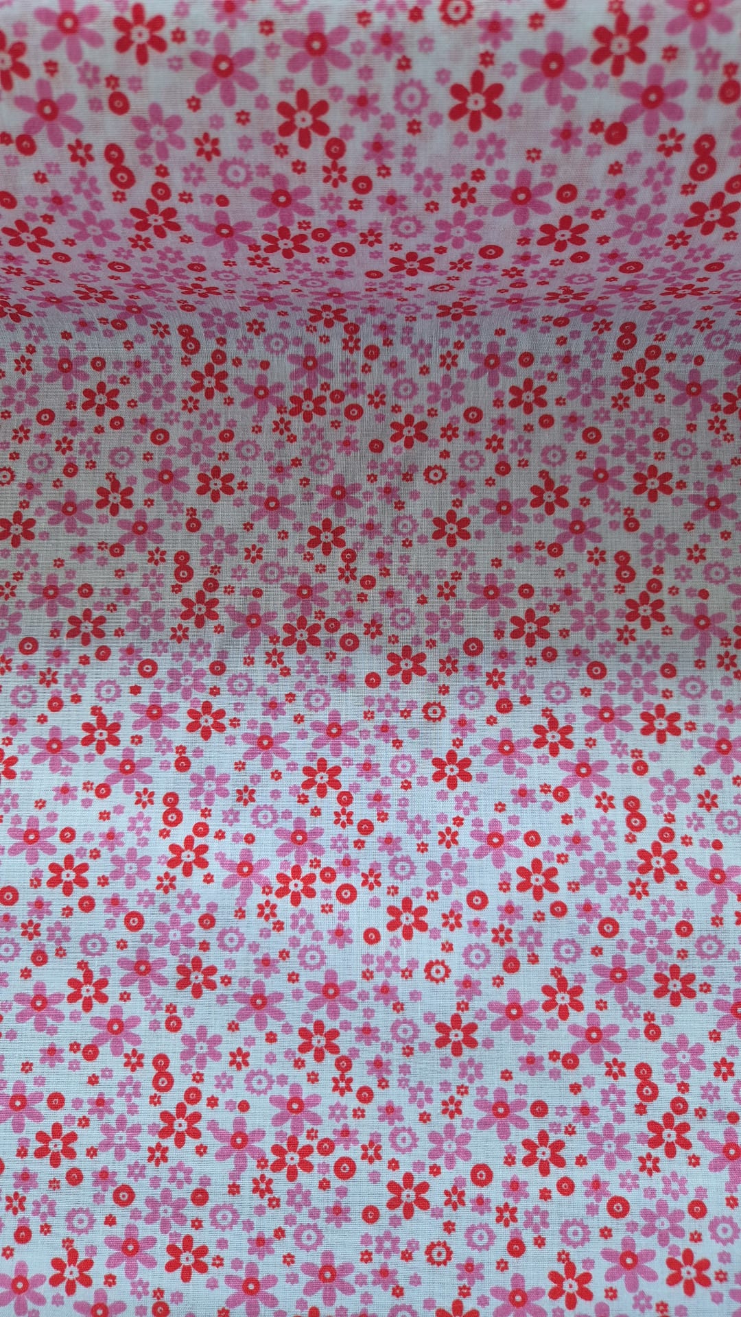 Pretty pink flowers
