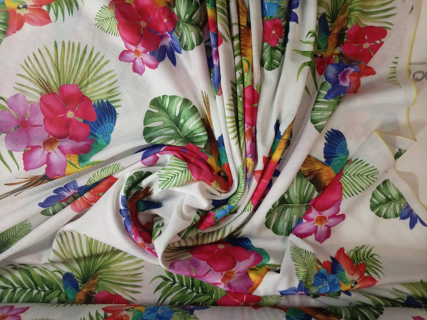 Parrots Paradise Jersey