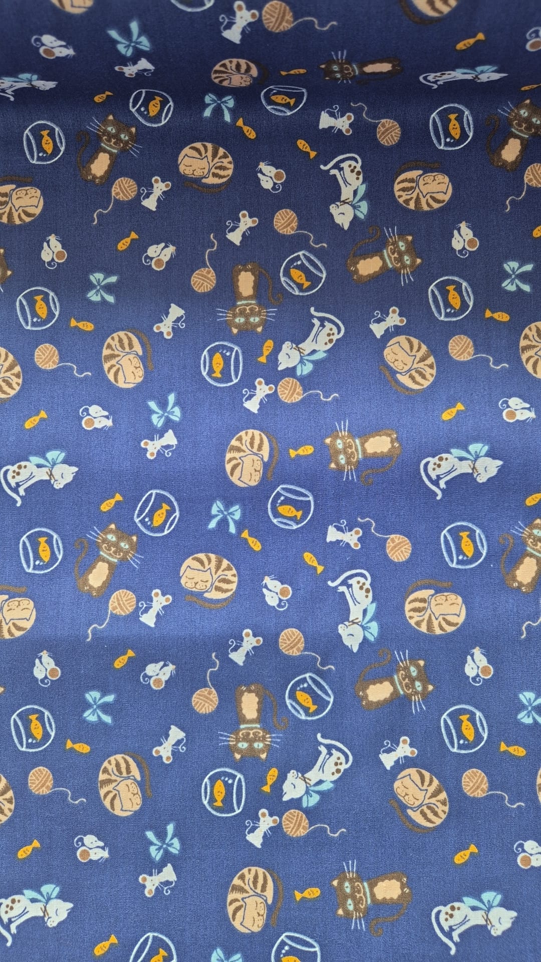 Kitty cats on Navy