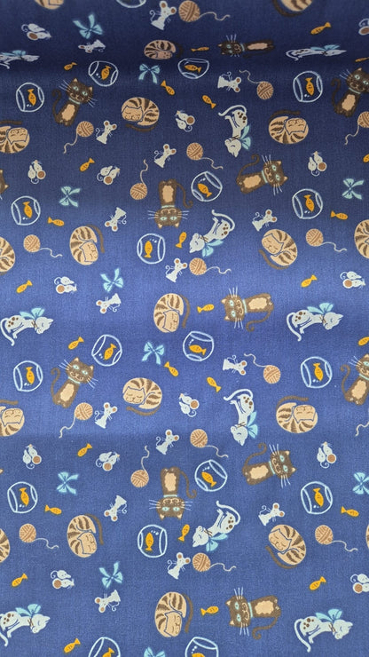 Kitty cats on Navy