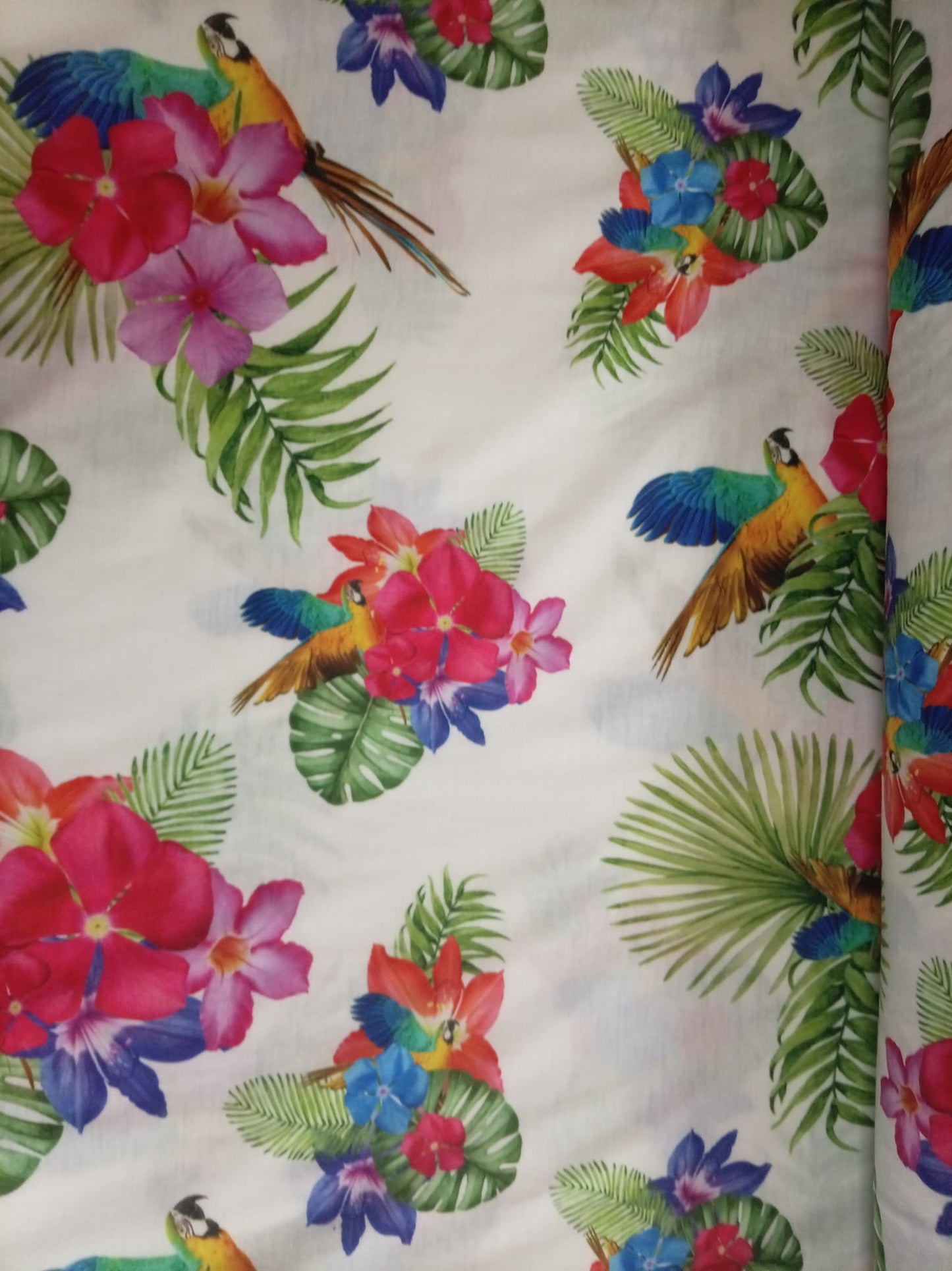 Parrots Paradise Jersey