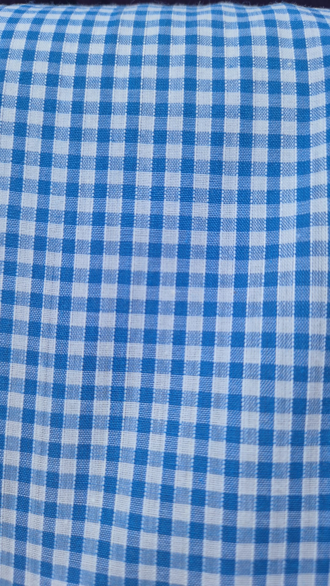 Gingham sky blue