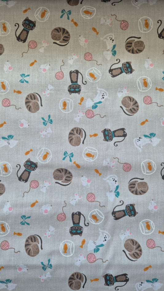 Kitty cats Light background