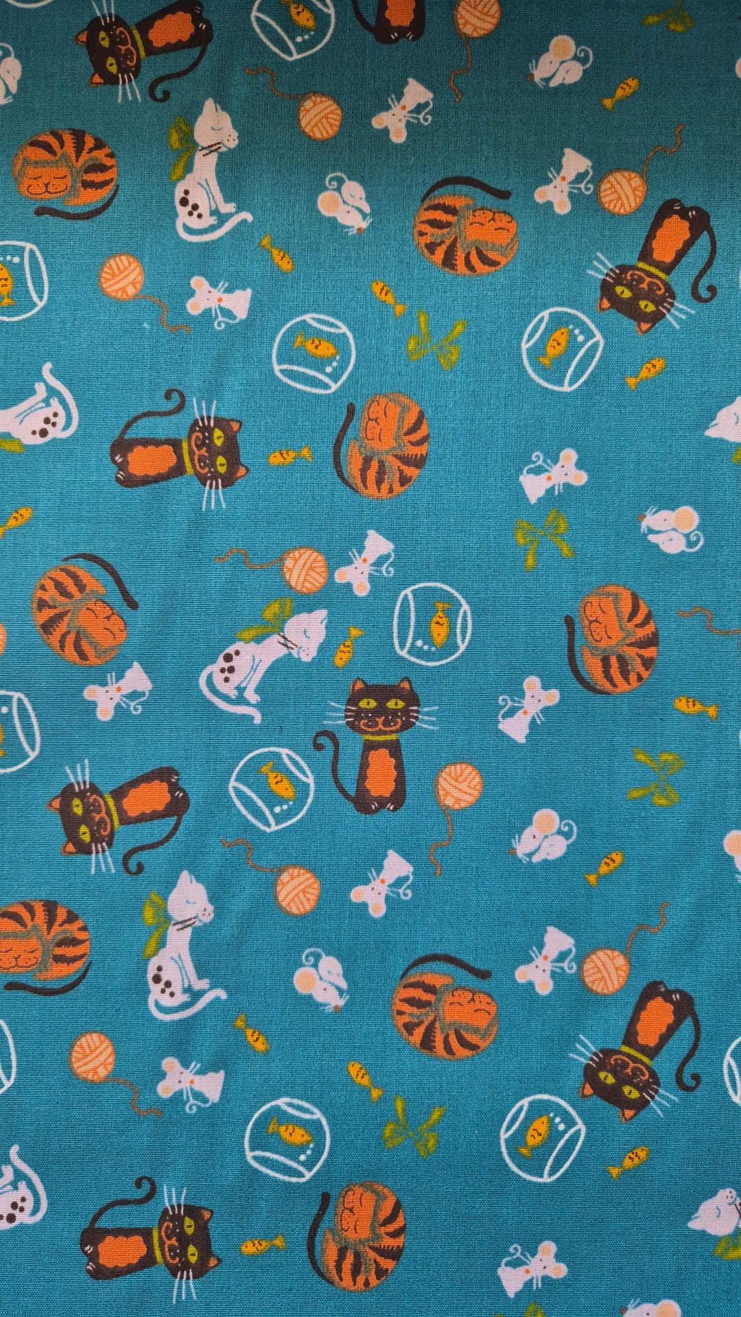 Kitty cats on Teal