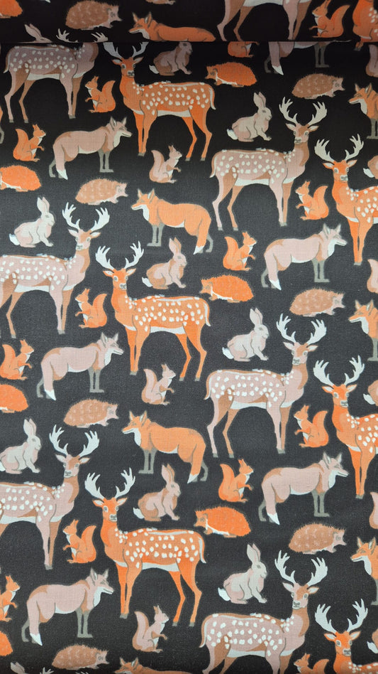 Wild Animals
